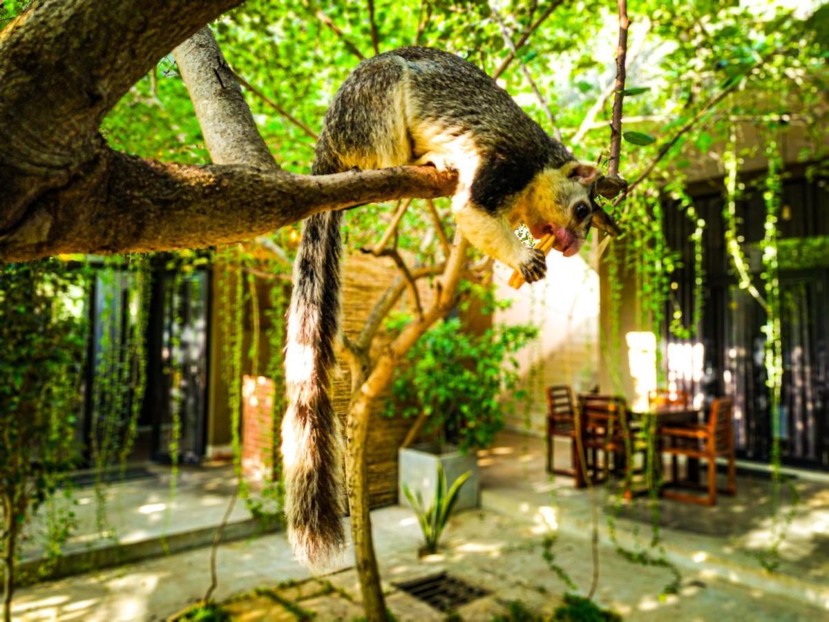 Isi Arana Eco Villa Anuradhapura Esterno foto